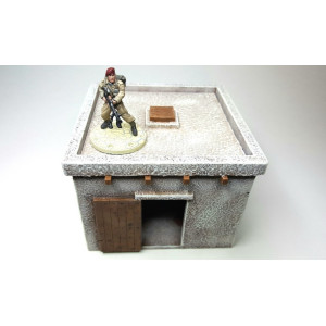 Desert House 1x1, Style A