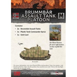 Brummbar Assault Tank Platoon