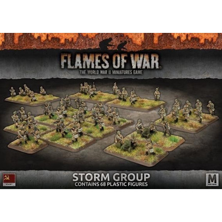 Storm Group