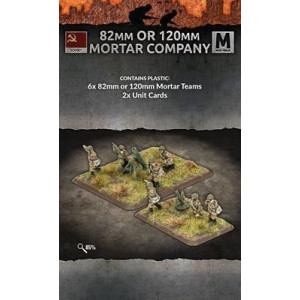 82mm or 120mm Mortar Company