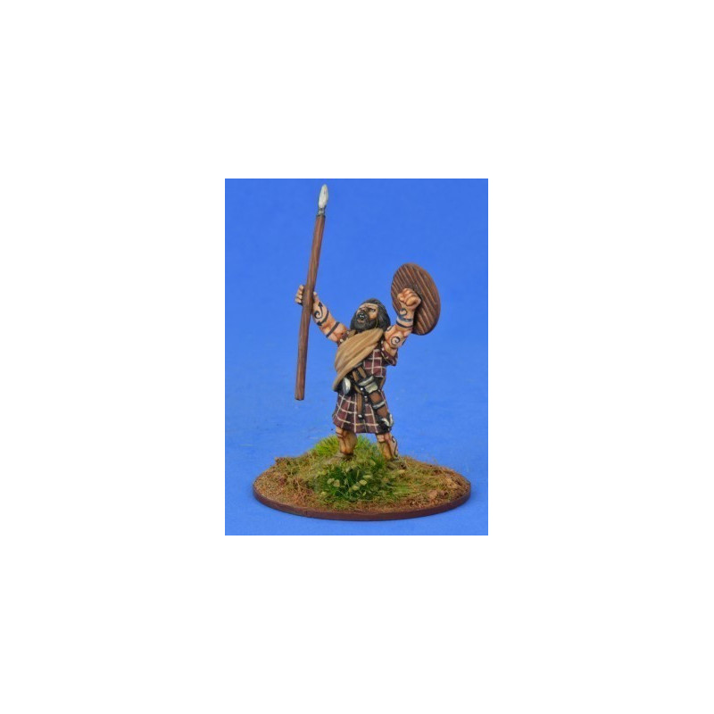 Pict Warlord