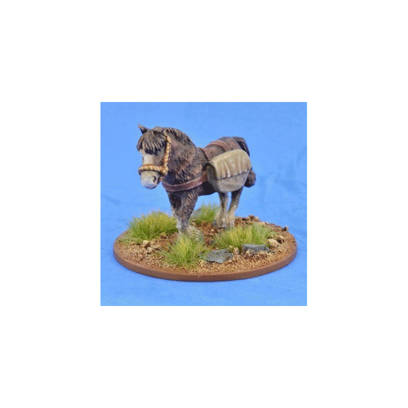 Pack Pony (Panniers)