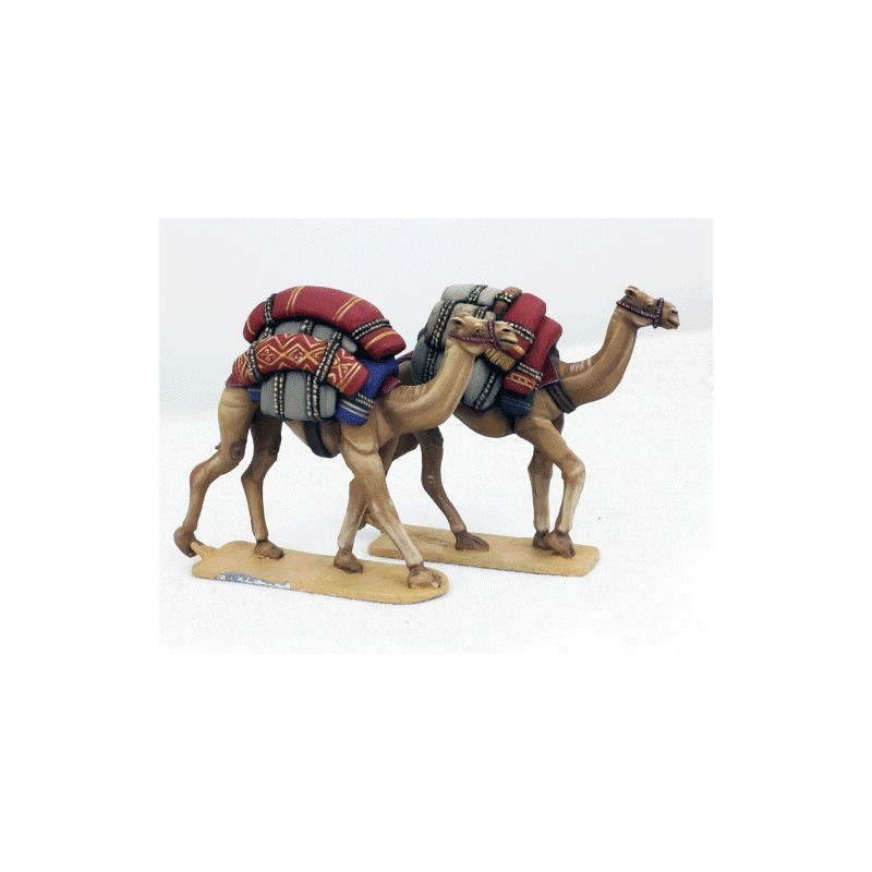 Baggage Camels