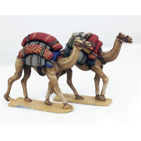 Baggage Camels