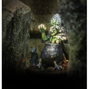 The Witch and her Cat (and Cauldron)