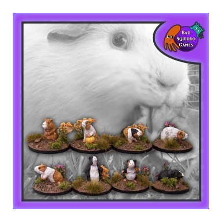 Guinea Pigs