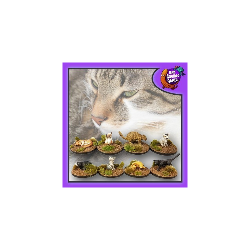 Kitties