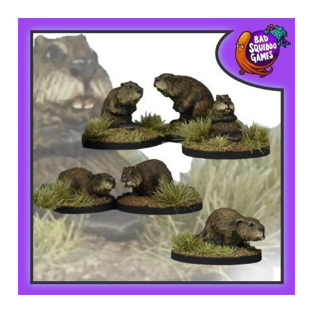 Beavers
