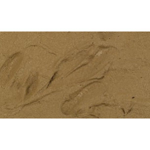 Brown Earth 200ml