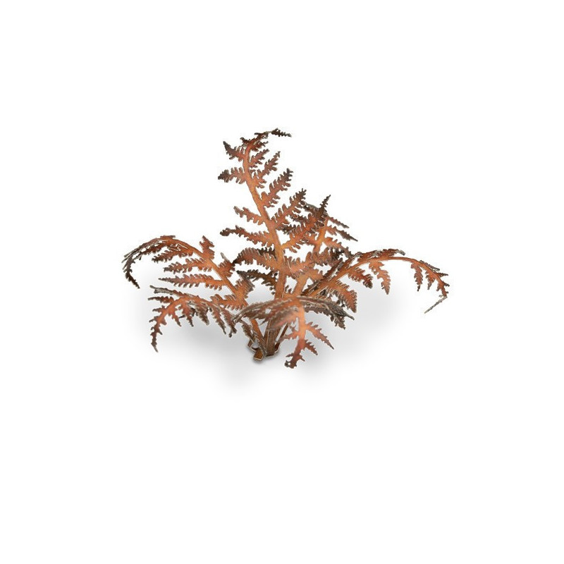 Dry Bracken