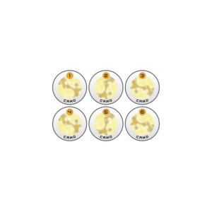 N4 Infinity Tokens Now you see me... (6)