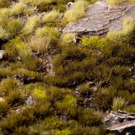 Swamp 4mm