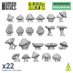 Chunky Mushrooms