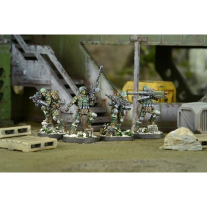Frontoviks, Assault Separated Battalion