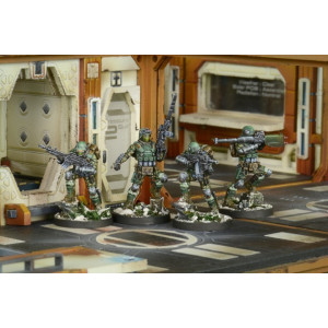 Frontoviks, Assault Separated Battalion